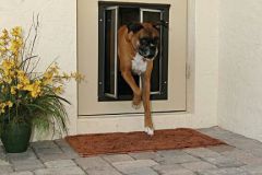 boxer-exit-door-xl-ig-7-6
