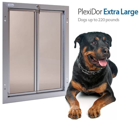 https://plexidors.com/wp-content/uploads/2013/12/doors_mainpic_xlarge1.jpg