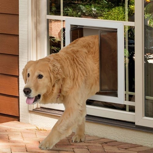 PlexiDor Puerta de perro Low E Inserto de vidrio para puertas francesas -  Puerta para mascotas de bajo consumo