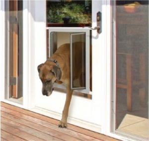 PlexiDor in french door