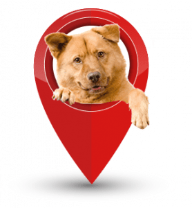 Dog in map pin