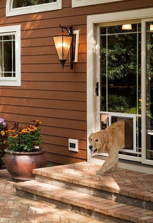 PlexiDor Glass Series sliding glass dog door