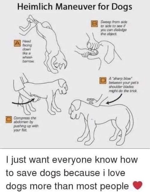 The Heimlich Maneuver for dogs and choking issues