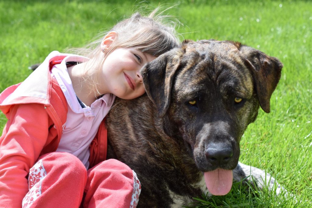 There are many reasons a kid needs a dog including positive social and emotional health