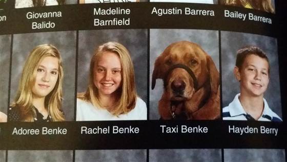 Today's Service Dog Image from today.com