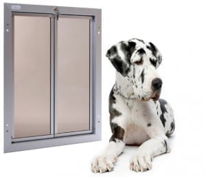 Dog Doors That Stand Up To Even the Largest Dogs - extra large