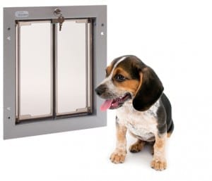 Medium Size PlexiDor Dog Door and a Beagle