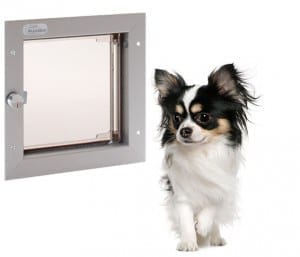Papillion with a small PlexiDor Dog Door.  Install a pet door through a wall or door.