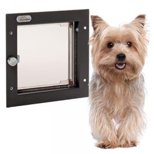 Weight difference between cats and dogs for a small PlexiDor dog door