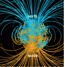 Magnetic Field Dogs are sensitive to the Earth's magnetic field