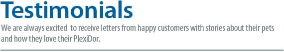 Testimonials