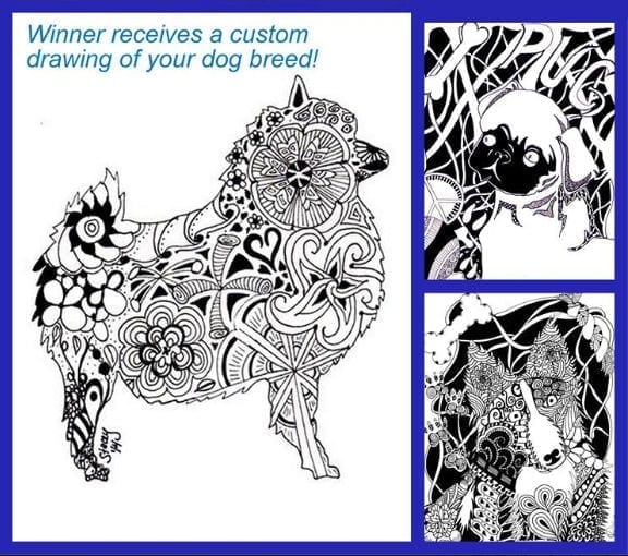 Win a handmade drawing of your dog breed