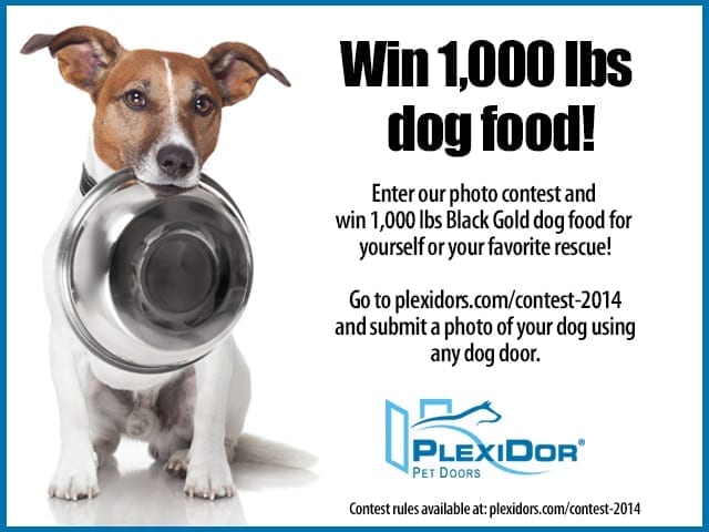 Win 1,000 lbs dog food!