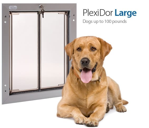 https://plexidors.com/wp-content/uploads/doors_mainpic_large.jpg