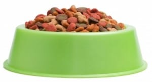 Get the right size food bowl