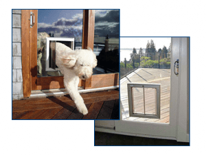 PlexiDor through glass