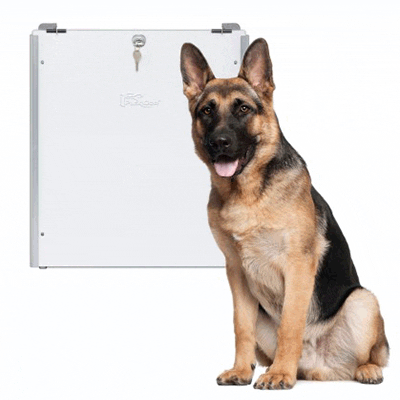PlexiDor Dog Door with security plate and sliding track