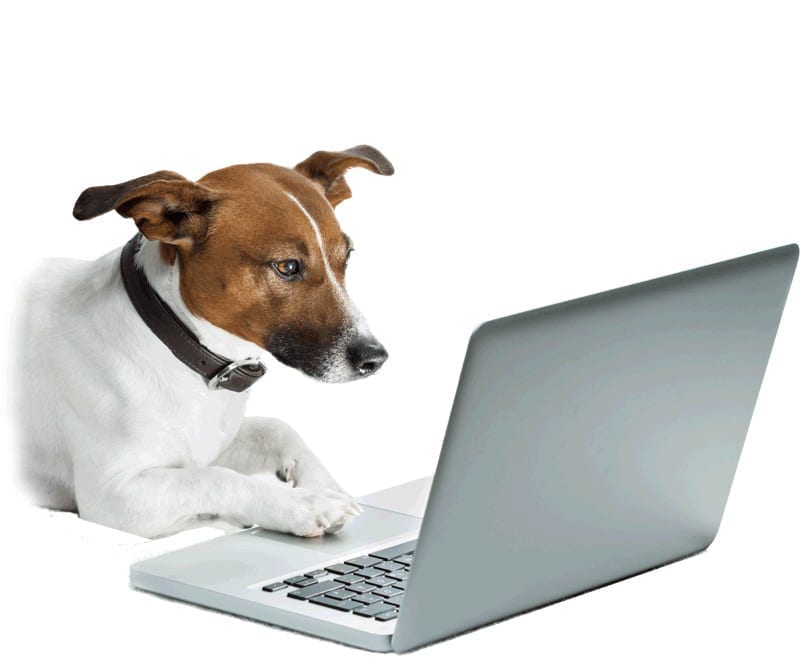 Support Media Resources for PlexiDor dog doors